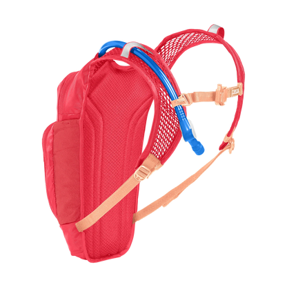 Детский рюкзак для гидратации CamelBak Kids' Mini M.U.L.E.® 5L с резервуаром Crux® 1.5L