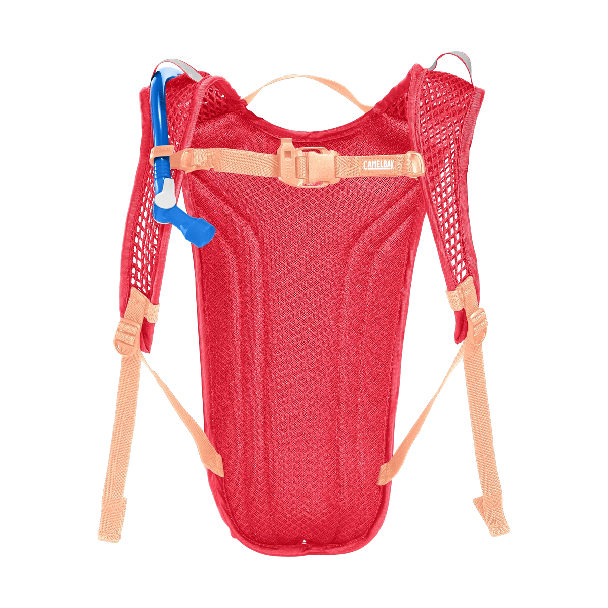 Детский рюкзак для гидратации CamelBak Kids' Mini M.U.L.E.® 5L с резервуаром Crux® 1.5L