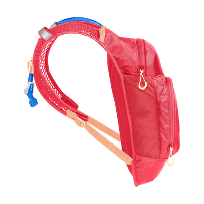 Детский рюкзак для гидратации CamelBak Kids' Mini M.U.L.E.® 5L с резервуаром Crux® 1.5L