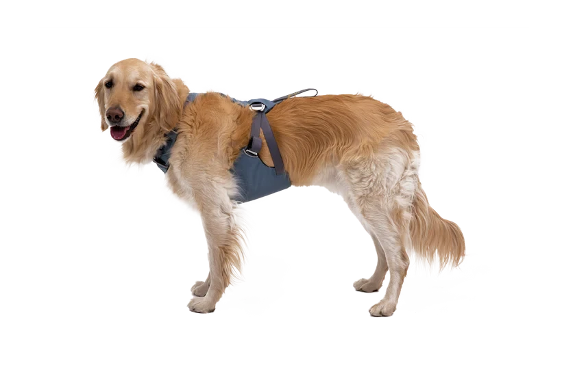 Harnais Ruffwear Load Up™