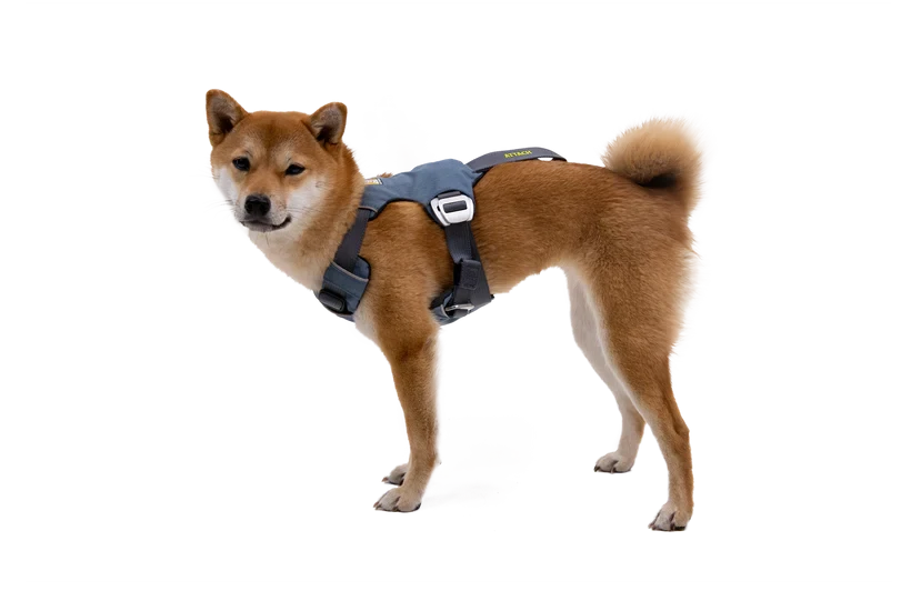 Harnais Ruffwear Load Up™