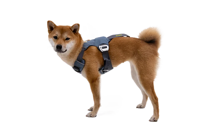 Harnais Ruffwear Load Up™
