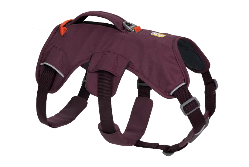 Harnais Ruffwear Web Master™