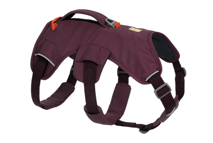 Harnais Ruffwear Web Master™