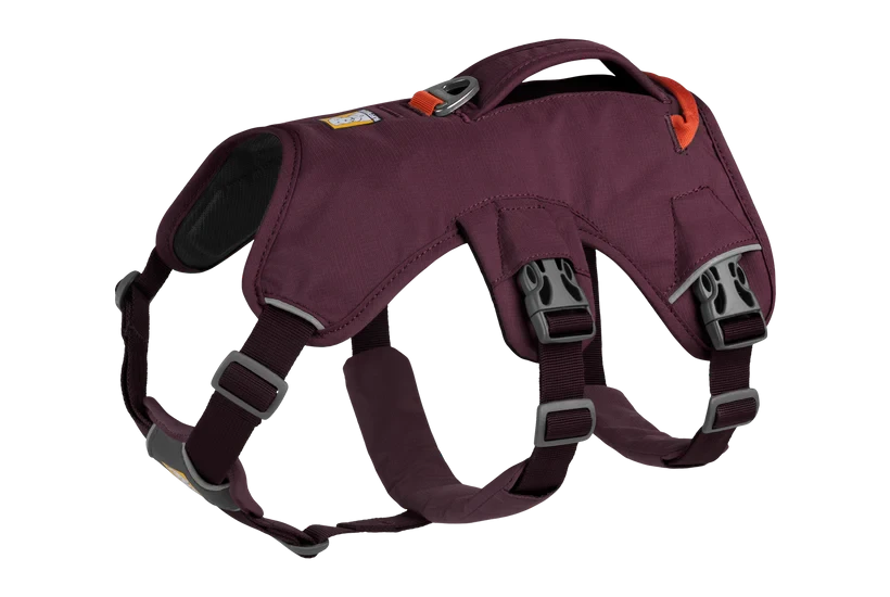 Harnais Ruffwear Web Master™