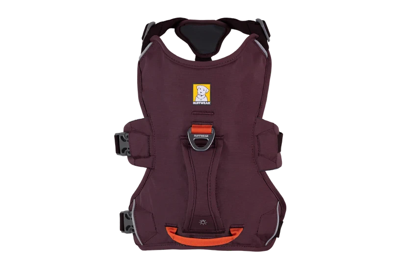 Harnais Ruffwear Web Master™