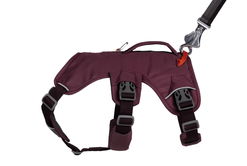 Harnais Ruffwear Web Master™