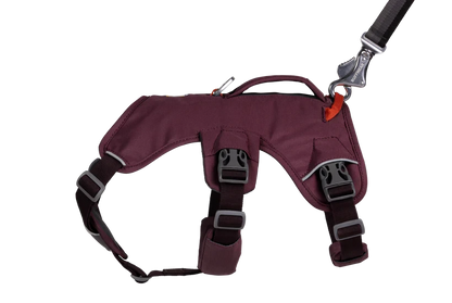 Harnais Ruffwear Web Master™