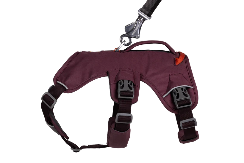 Harnais Ruffwear Web Master™