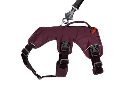 Harnais Ruffwear Web Master™