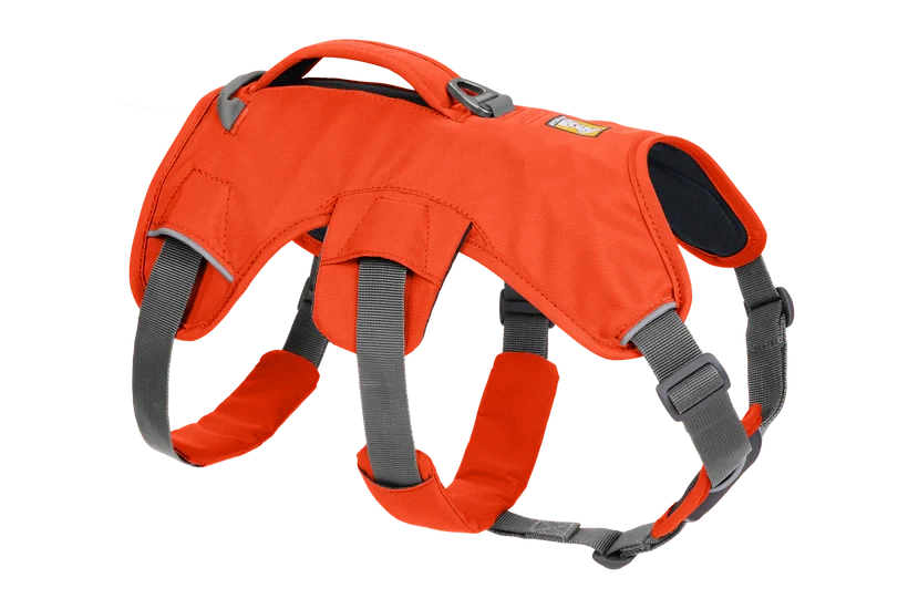 Harnais Ruffwear Web Master™