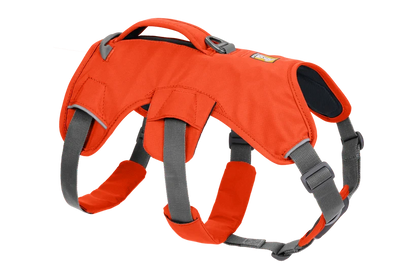 Harnais Ruffwear Web Master™