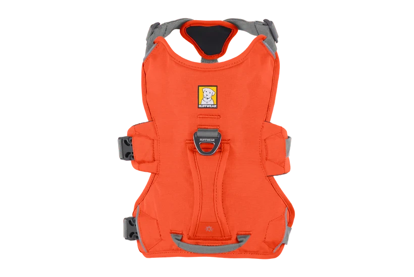 Harnais Ruffwear Web Master™
