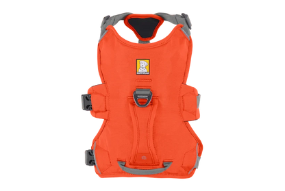 Harnais Ruffwear Web Master™