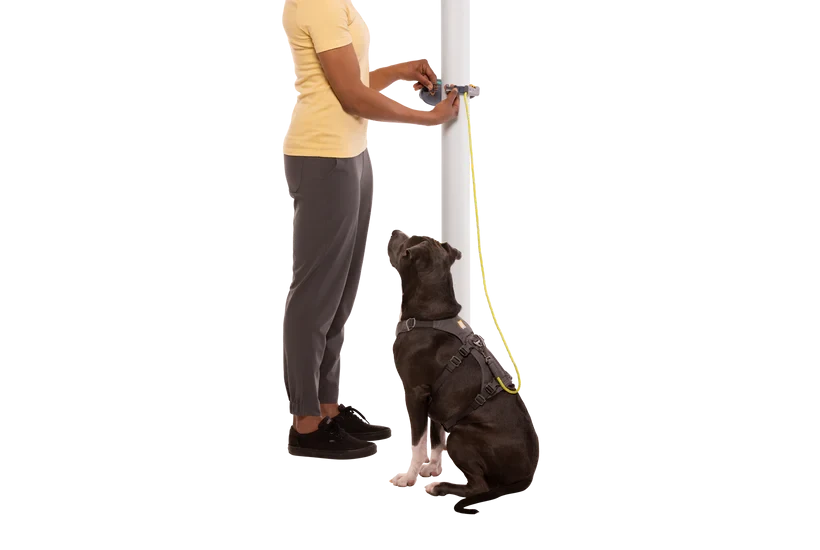 Laisse Ruffwear Hitch Hiker™
