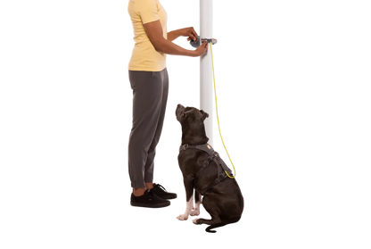 Laisse Ruffwear Hitch Hiker™