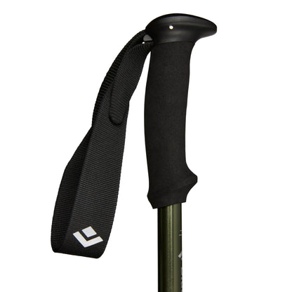 Black Diamond Explorer 3 Trekking Pole
