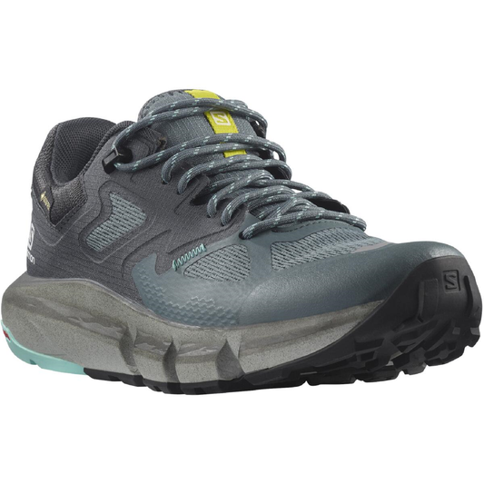 SALOMON shoes Predict Hike GTX W grey/blue