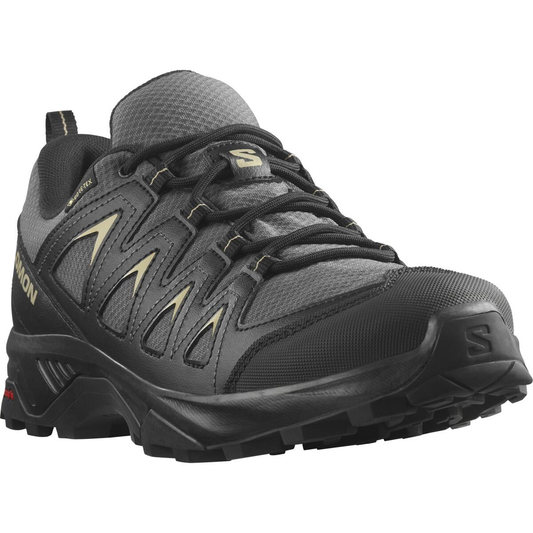 SALOMON обувь X Braze GTX черный/серый