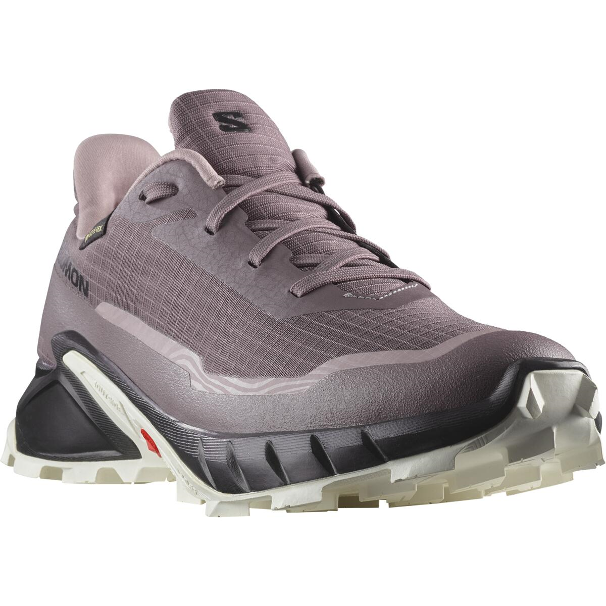 SALOMON обувь Alphacross 5 GTX W фиолетовый/белый/черный