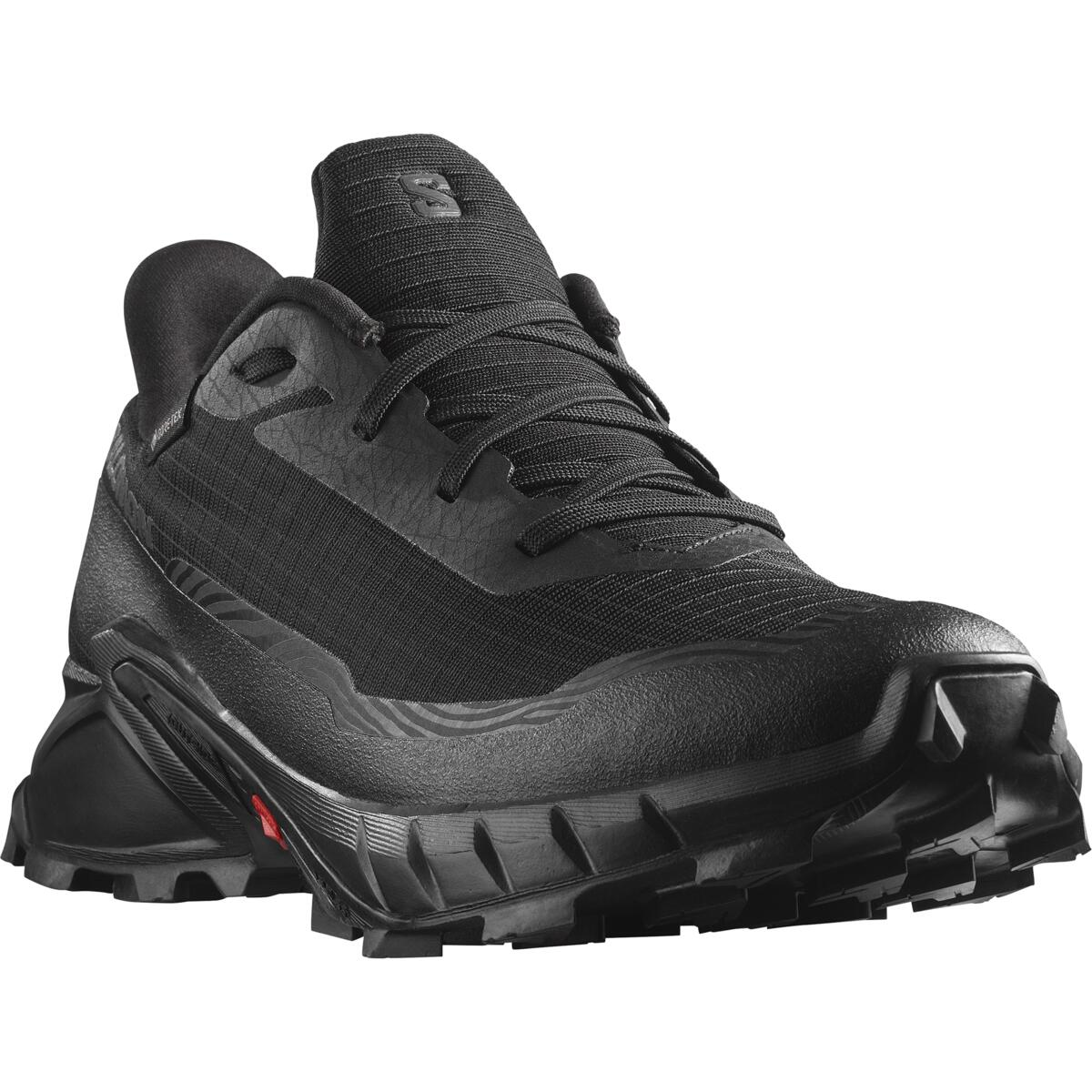 SALOMON обувь Alphacross 5 GTX черный