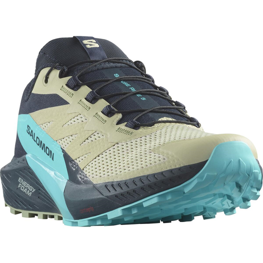 Chaussures SALOMON Sense Ride 5 grey/Bleu/Noir