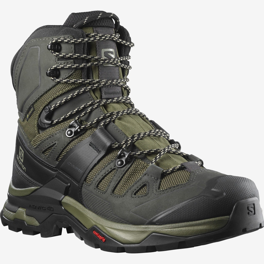 Chaussures SALOMON Quest 4 GTX green/Noir