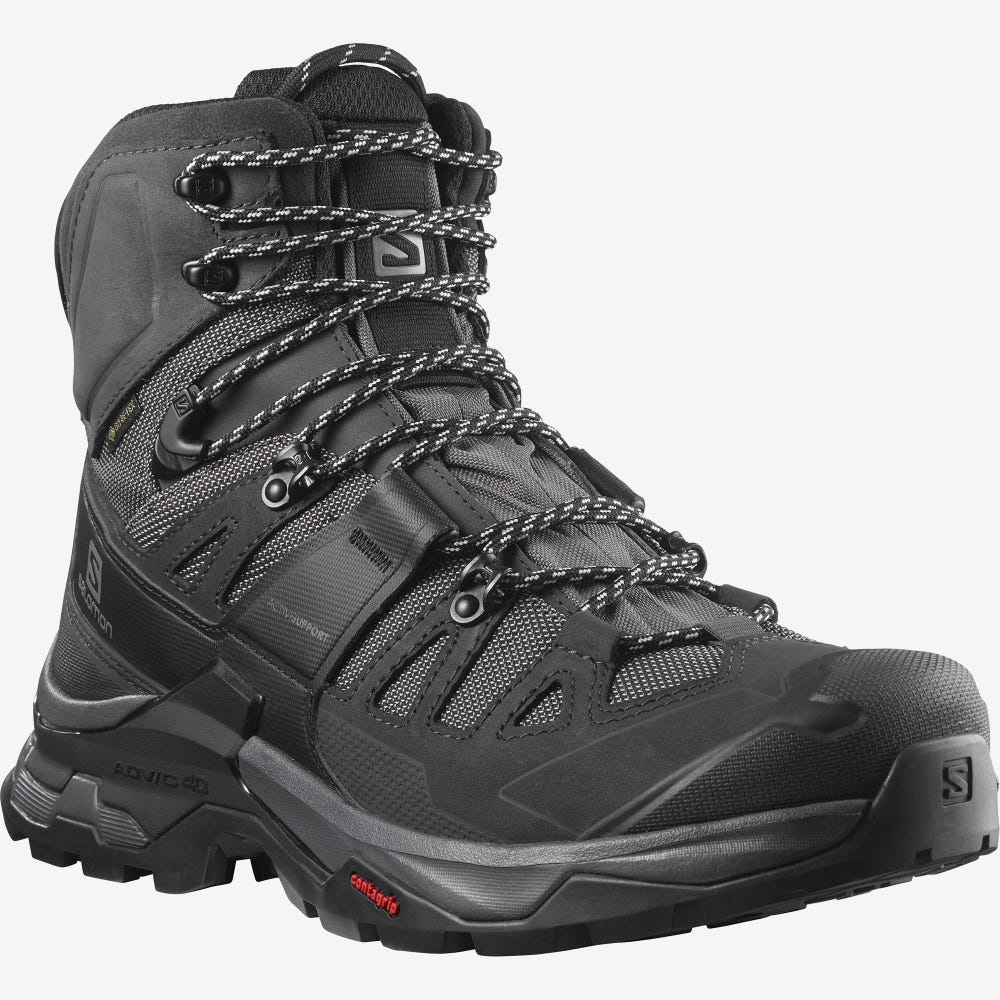 SALOMON shoes Quest 4 GTX black