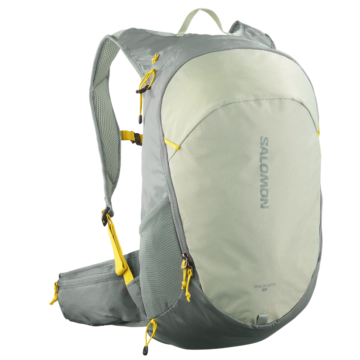 SALOMON mugursoma Trailblazer 20 sedona sage/seagrass/cress grey