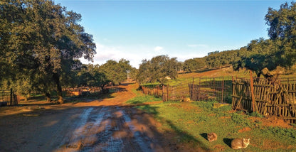 La Via de la Plata and Camino Sanabres (ENG) - verslanature.fr