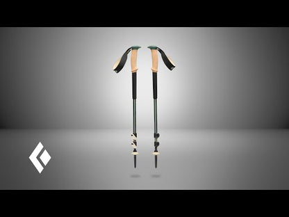 Треккинговые палки Black Diamond Trail Explorer