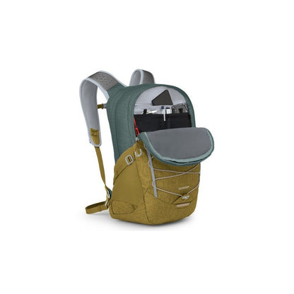 Osprey Quasar