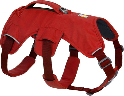 Harnais Ruffwear Web Master™