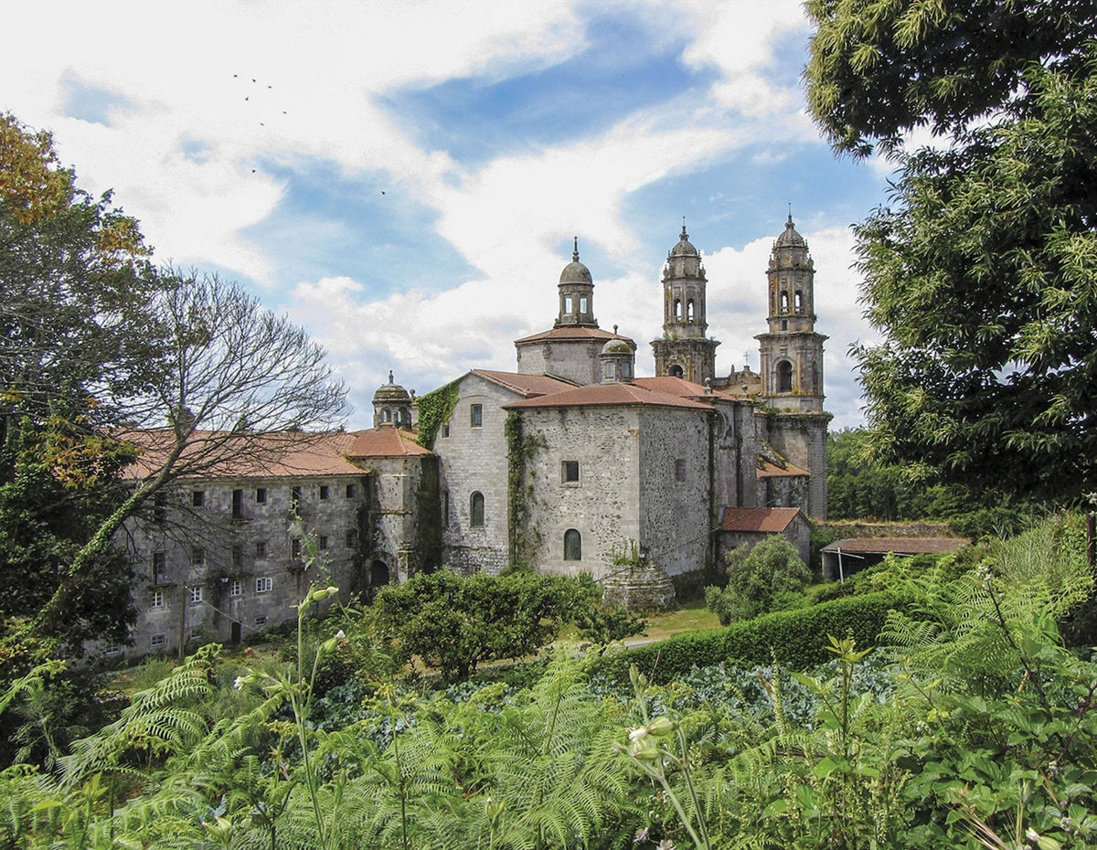The Camino del Norte and Camino Primitivo To Santiago de Compostela and Finisterre from Irun or Oviedo (ENG) - verslanature.fr