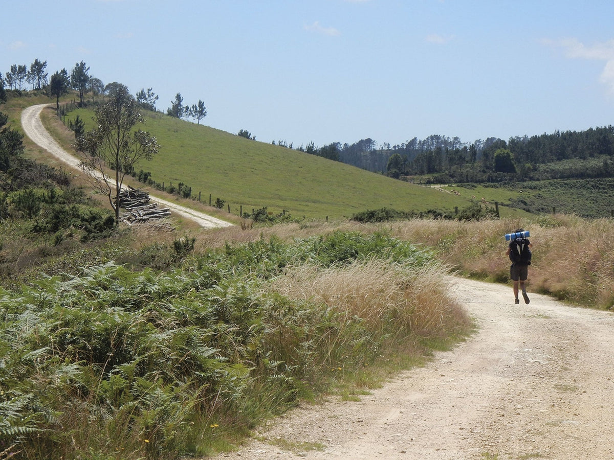 The Camino del Norte and Camino Primitivo To Santiago de Compostela and Finisterre from Irun or Oviedo (ENG) - verslanature.fr