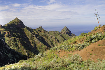 Walking on Tenerife (ENG) - dabai.lv